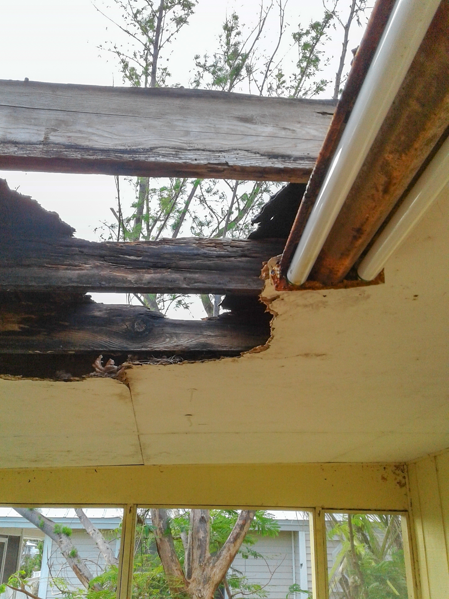 Damaged Roof for STEP Program-1.jpg